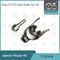 7135-646 Delphi Injektor Reparatur-Kit für Injektor 28232251 / R03101D / R05102D