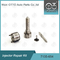 7135-654 Delphi Injektor Reparatursatz R00501Z mit Düse L456PRD