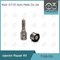 7135-701 Delphi Injektor Reparatursatz Für Injektoren R00001D