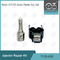 7135-835 Delphi-Injektor Reparatur-Kit