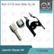 7135-835 Delphi-Injektor Reparatur-Kit