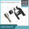 Zuverlässiger Delphi Treibstoffspritzer Reparatur-Kit 7135-816