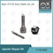 7135 - 650 Delphi Injektor Reparatur-Kit für DELPHI Injektoren R04701D