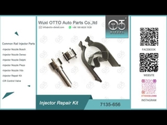 7135-656 Delphi Injector Repair Kit For R00504Z mit Düse L135PBD