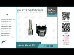 7135-835 Delphi-Injektor Reparatur-Kit