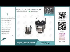 Allgemeines Regelventil der Schienen-28615824 für Delphi Common Rail Injectors R00001D/28307309