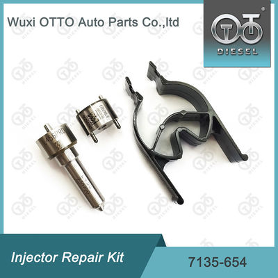 Injektor Reparatur-Kit 7135-654 für R00501Z mit Düse L456PRD