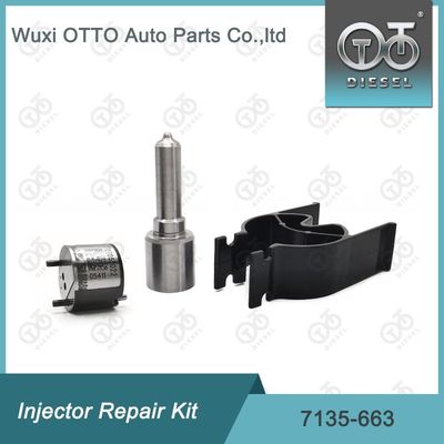 7135-663 Delphi Injektor Reparatur-Kit Düse-Ventil-Kit Düse-CVA-Kit