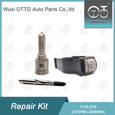 7135-579  Injektor Reparatur-Kit mit L375PRD Düse und 28264094 Steuerventil für Dieselmotoren