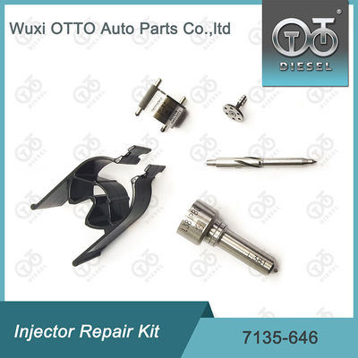 Injektorreparatur-Kit für Düsenventile 7135-646 Delphi für Injektoren 28232251 / R03101D / R05102D