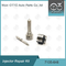 7135-646 Delphi Injektor Reparatur-Kit für Injektor 28232251 / R03101D / R05102D