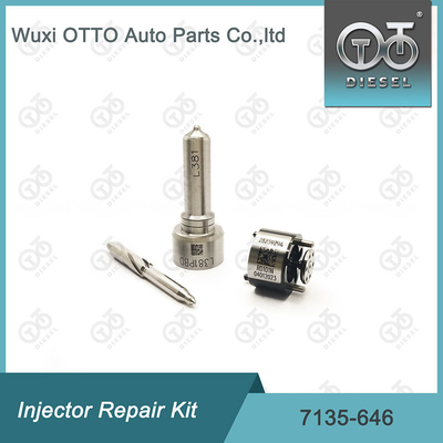 Injektorreparatur-Kit für Düsenventile 7135-646 Delphi für Injektoren 28232251 / R03101D / R05102D