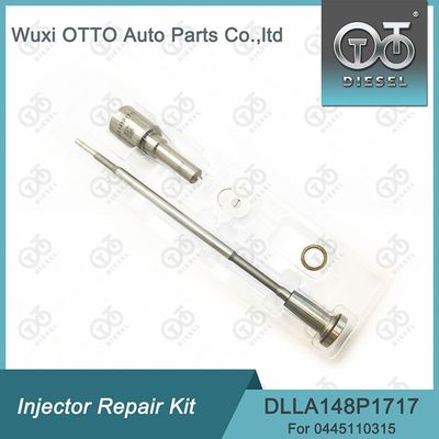 0445110315 Injektor Reparatur-Kit mit DLLA148P1717 Düse und F00VC01329 Steuerventil.