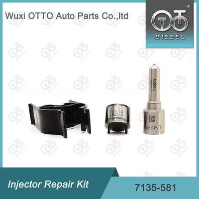 7135-581 Injektor-Reparatursatz für R00101D PSA FORD DW10C