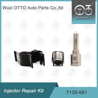 Delphi 7135-581 Injektor-Reparatursatz für R00101D PSA FORD DW10C