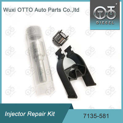 7135-581 Injektor-Reparatursatz für R00101D PSA FORD DW10C