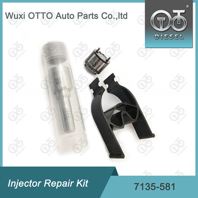 Ausrüstung für die Reparatur von Delphi-Injektoren für R00101D PSA / FORD DW10C