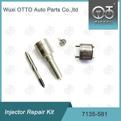 Ausrüstung für die Reparatur von Delphi-Injektoren für R00101D PSA / FORD DW10C
