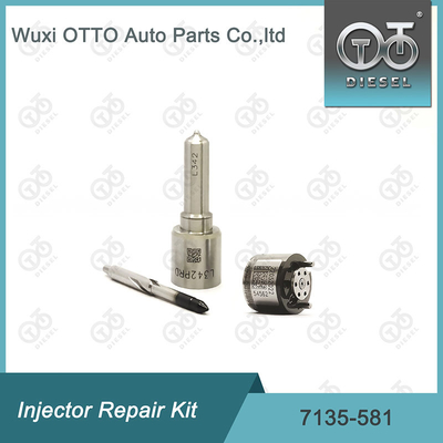 Ausrüstung für die Reparatur von Delphi-Injektoren für R00101D PSA / FORD DW10C