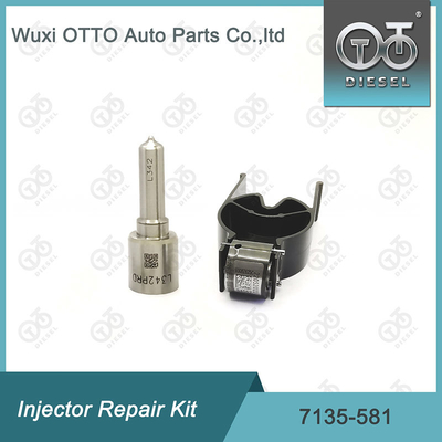 Ausrüstung für die Reparatur von Delphi-Injektoren für R00101D PSA / FORD DW10C