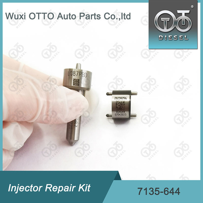 Injektorreparatur-Kit 7135-644 für Delphi-Injektoren mit Düse L087PBD