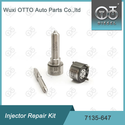 Delphi Injektor Reparatursatz 7135-647 für 28232248 mit L120PBD Düse