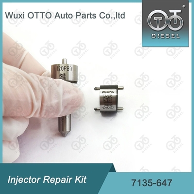 Delphi Injektor Reparatursatz 7135-647 für 28232248 mit L120PBD Düse