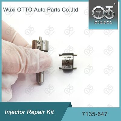 Injektor Reparatursatz 7135-647 für 28232248 mit L120PBD Düse