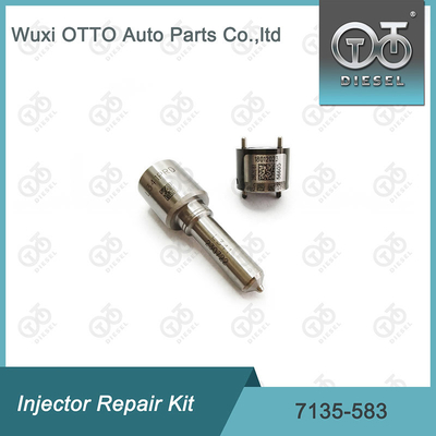 Ausrüstung für die Reparatur von Delphi-Injektoren für R00301D SSANGYONG D20DTF