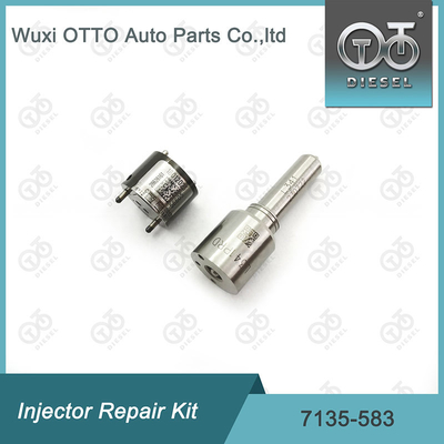 Ausrüstung für die Reparatur von Delphi-Injektoren für R00301D SSANGYONG D20DTF