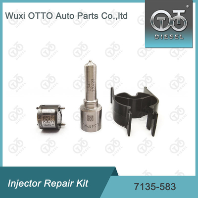 Ausrüstung für die Reparatur von Delphi-Injektoren für R00301D SSANGYONG D20DTF