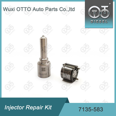 Ausrüstung für die Reparatur von Delphi-Injektoren für R00301D SSANGYONG D20DTF