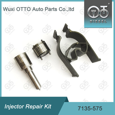 Nollze-Valve Kit 7135-575 Delphi Injektor Reparatur-Kit für 28231462 VW 1,2 L Düse L363PRD