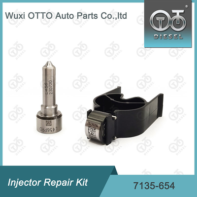 Delphi Injektor Reparatur-Kit 7135-654 für R00501Z mit Düse L456PRD