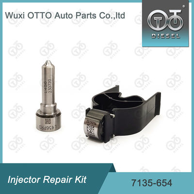 Injektor Reparatur-Kit 7135-654 für R00501Z mit Düse L456PRD