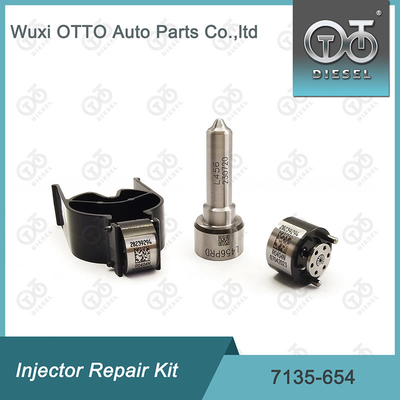 Delphi Injektor Reparatur-Kit 7135-654 für R00501Z mit Düse L456PRD