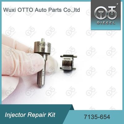Injektor Reparatur-Kit 7135-654 für R00501Z mit Düse L456PRD