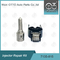 7135-815 Delphi Injektor Reparatur-Kit