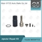 Siemens Injektor Reparatur-Kit für Injektoren A2C59513596 / 5WS40253