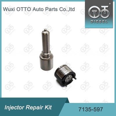 7135-597 Delphi Injektor Reparatur-Kit Düse-CVA-Kit Düse-Ventil-Kit