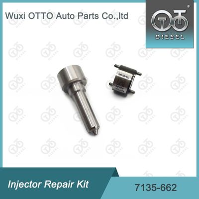 7135-662  Einspritzdüsen-Reparatursatz für Einspritzdüsen R05001D Düsen-Ventil-Kit inklusive Düse L252PRD