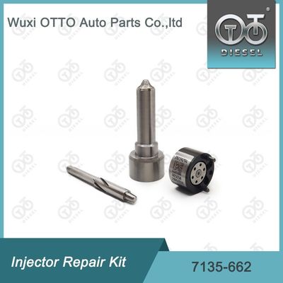 7135-662  Einspritzdüsen-Reparatursatz für Einspritzdüsen R05001D Düsen-Ventil-Kit inklusive Düse L252PRD