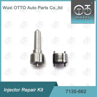 7135-662 Delphi Injektor Reparatur-Kit für Injektoren R05001D Düse-Ventil-Kit Düse-CVA-Kit
