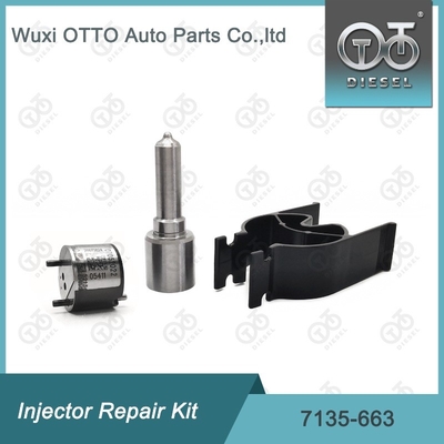7135-663 Delphi Injektor Reparatur-Kit Düse-Ventil-Kit Düse-CVA-Kit