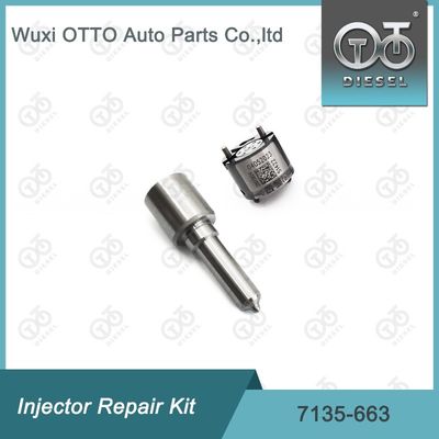 7135-663  Injektor Reparatur-Kit Düse-Ventil-Kit Düse-CVA-Kit