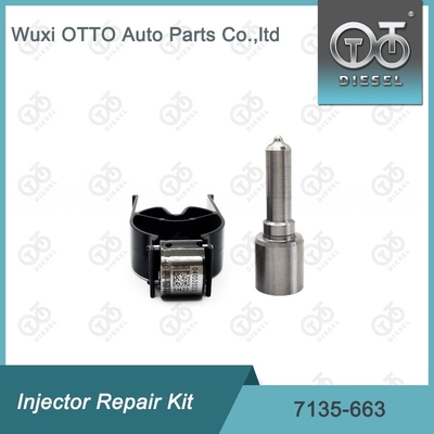 7135-663 Delphi Injektor Reparatur-Kit Düse-Ventil-Kit Düse-CVA-Kit