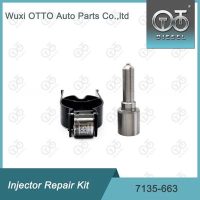 7135-663  Injektor Reparatur-Kit Düse-Ventil-Kit Düse-CVA-Kit