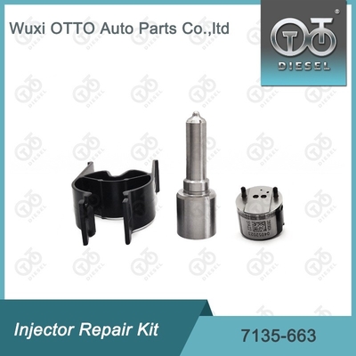 7135-663 Delphi Injektor Reparatur-Kit Düse-Ventil-Kit Düse-CVA-Kit