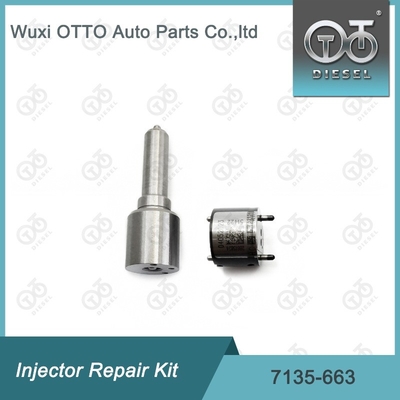 7135-663 Delphi Injektor Reparatur-Kit Düse-Ventil-Kit Düse-CVA-Kit