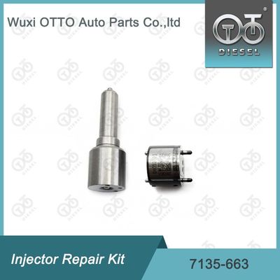 7135-663  Injektor Reparatur-Kit Düse-Ventil-Kit Düse-CVA-Kit